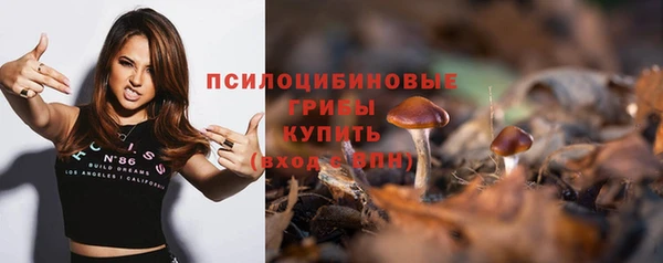 ALPHA PVP Киренск