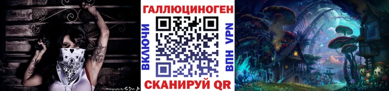 Купить где  Кашин  Галлюциногенные грибы мицелий 
