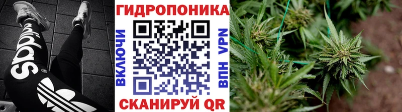 Купить где  Кашин  Шишки марихуана White Widow 